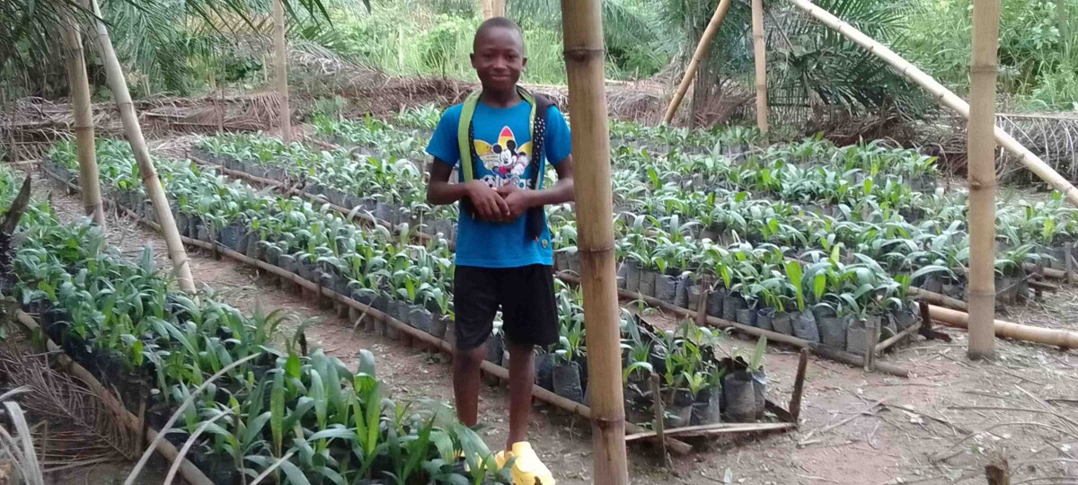 IMG_20240717_184141_266-ritoccata-1200×540