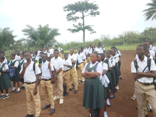 F 144_04_rid_sfocata